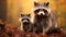 Adorable raccoon family in natural habitat with copy space for text, blurred background