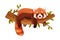 Adorable Red Panda as Small Fluffy Mammal with Dense Reddish-brown Fur and Ringed Tail Lying on Tree Branch Vector