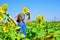 Adorable rustic child girl enjoy summer at sunflowers field, carefree and happy