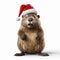 Adorable Santa Hat-wearing Rodent: 3d Rendered Beaver With Red Nose