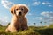 Adorable scene Golden retriever puppy sits on lush grass, gazing