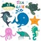 Adorable Sea Creatures Illustration Set - Perfect for Your Ocean-Themed Projects