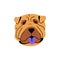 Adorable Shar Pei avatar. Funny muzzle of large breed pup. Cute wrinkled guard dog shows blue tongue. Puppy face