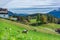 Adorable Sheep With Mountain View