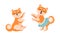 Adorable Shiba Inu Dog in Various Poses Set, Akita Inu Puppy Activities Cartoon Vector Illustration