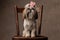 adorable shih tzu dog wearing pink bow on head and sitting on wooden chair