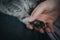 Adorable shot of a person holding a kitten\'s paw