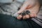 Adorable shot of a person holding a kitten\'s paw