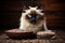 Adorable siamese cat enjoying delicious cat food from a bowl provided by the loving owner