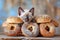 Adorable Siamese Kitten Peeking Through Assorted Fresh Bagels on Wooden Table