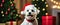 Adorable silly maltese wearing Santa hat