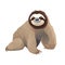 Adorable Sloth Hanging in Tropical Rainforest Wildlife Portrait of a Cute Isolated , Generative