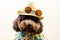 An adorable smiling black toy Poodle dog wears hat with sunglasses on top and Hawaii dress for summer season on white background