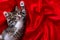 Adorable smiling striped kitten lying on back Paws up over red textile. Looking at camera. Copyspace. Cute pets cats