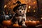 Adorable Sorcery: Puppy Wearing a Witch Hat on Halloween