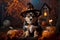 Adorable Sorcery: Puppy Wearing a Witch Hat on Halloween