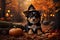 Adorable Sorcery: Puppy Wearing a Witch Hat on Halloween