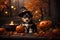 Adorable Sorcery: Puppy Wearing a Witch Hat on Halloween