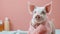 Adorable spa pig: cute and pampered pig enjoying relaxing spa treatments, a charming and delightful scene of animal