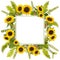 Adorable sunflower background with fern and leaves