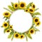 Adorable sunflower background with fern and leaves