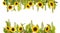 Adorable sunflower background with fern and leaves