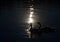 Adorable swan couple swimming in dark peaceful lake with slight reflection of bright sunlight