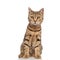 Adorable tabby british fold cat with orange fur sitting