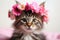 adorable tabby cat with pink flowers crown on head