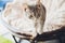 Adorable tabby cat sitting on kitchen floor staring at camera.