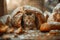 Adorable Tabby Kitten Hiding Inside Rustic Bread Loaf Surrounded by Crumbs in Warm Light