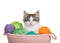 Adorable tabby kitten popping out of basket of yarn, isolated