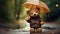 Adorable Teddy Bear Embraces Rain: A Heartwarming Plush Friend