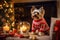 Adorable tiny mini dog Yorkshire Terrier pup in ugly christmas holiday sweater sits in festively decorated room