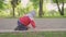 Adorable toddler boy, child playing on a road with blooming trees on sunset