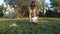 Adorable toddler drinking lifting plastic bottle from lawn and daddy wach him. Family bonding