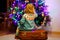 Adorable toddler girl sitting near Christmas tree. Little child playing and decorating xmas tree with family. First