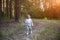 Adorable toddler walks in the woods sunny day