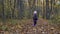 Adorable two years old girl twirl under falling leaves in autumn forest