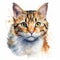 Adorable Watercolor Cat Drawing with White Background