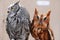 Adorable Western and Eastern Screech Owls Together