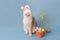 Adorable white cat in hat with bunny ears and Easter basket with colorful eggs on blue background