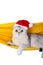 Adorable white cat in a red Santa Claus hat, resting in a yellow fabric hammock