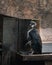 Adorable White-flippered penguin standing on wooden structure in the zoo