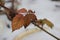 Adorable winter orange raspberry leaf