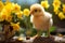 Adorable yellow chick in a playful pose on a sunny, flowery spring day