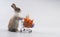 Adorable young bunny pushing the shopping cart with fresh carrots and baby corn over isolated white background. Newborn baby