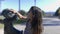 Adorable young girl cleaning the head of a child statue in a park