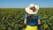 Adorable young girl in a straw hat, yellow skirt and blue t-shirt in sunflowers field. Lady with long blonde hair 4K