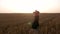 Adorable young girl in summer wheat field with straw hat 4K faceless. Woman with long blonde hair on countryside sunset.